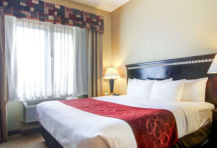 酒店 Comfort Suites Fort Stockton