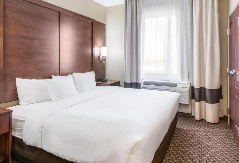 酒店 Comfort Suites Fort Stockton