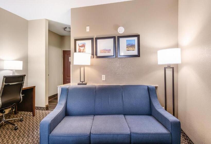 酒店 Comfort Suites Fort Stockton