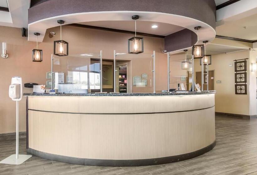 酒店 Comfort Suites Fort Stockton