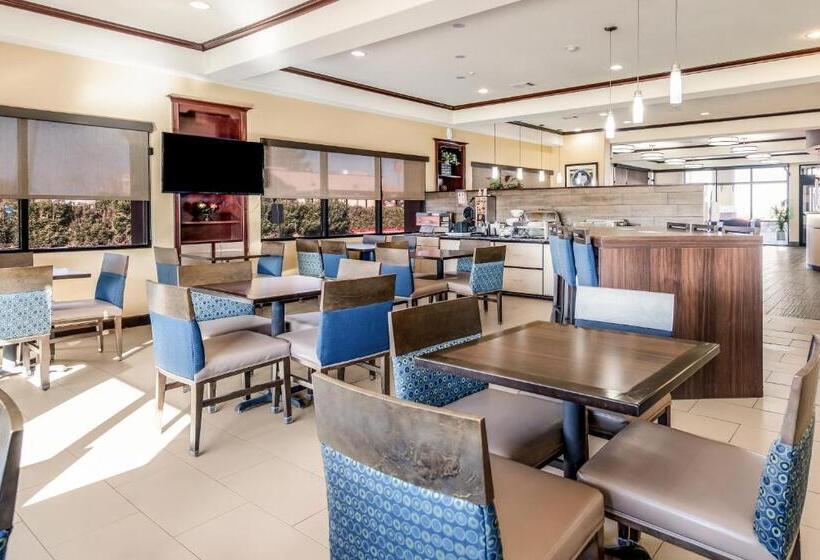 酒店 Comfort Suites Fort Stockton