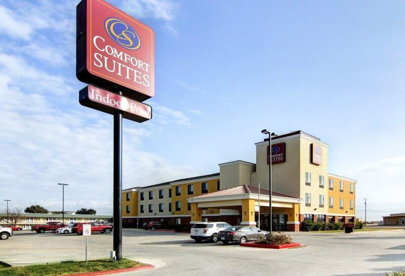 酒店 Comfort Suites Fort Stockton