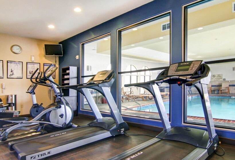 酒店 Comfort Suites Fort Stockton