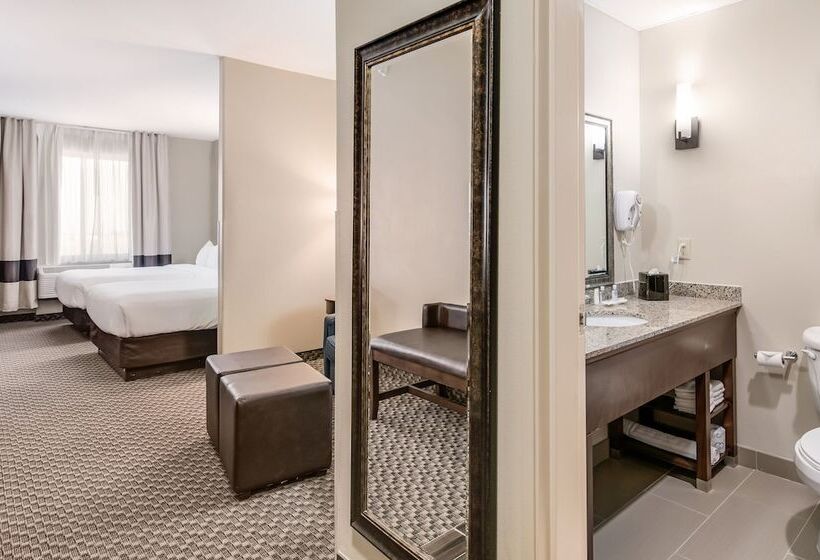 酒店 Comfort Suites Fort Stockton