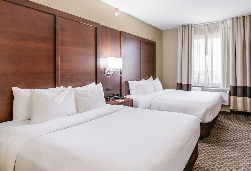 酒店 Comfort Suites Fort Stockton