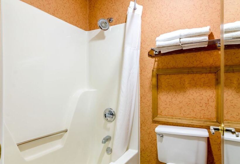 هتل Quality Inn Eureka Springs South