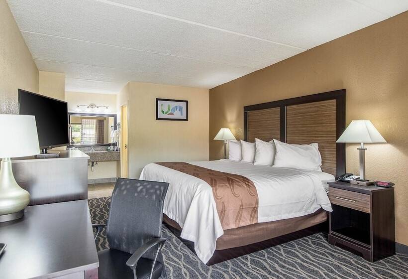 ホテル Quality Inn