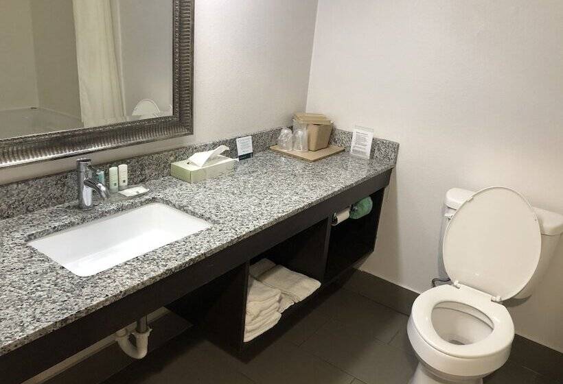 בית מלון כפרי Quality Inn Rochester South