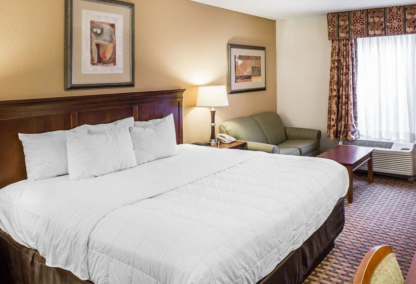 فندق Quality Inn & Suites