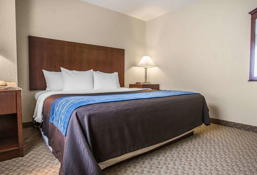 酒店 Quality Inn & Suites Dixon Near I88
