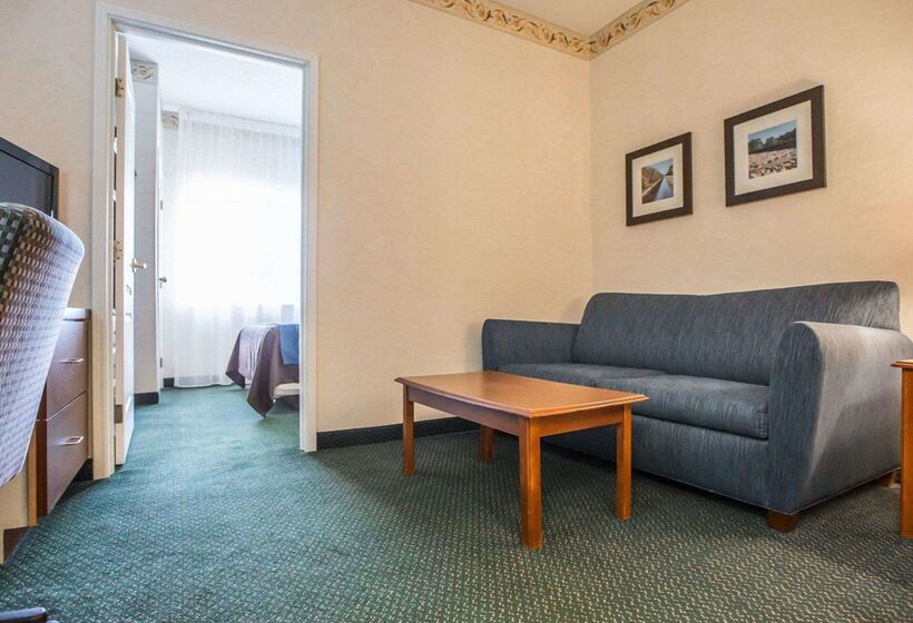酒店 Quality Inn & Suites Dixon Near I88