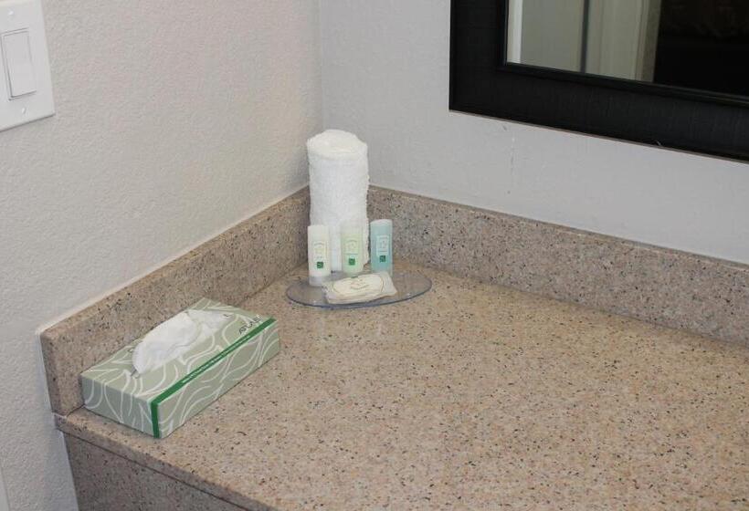 בית מלון כפרי Quality Inn & Suites Port Arthur  Nederland