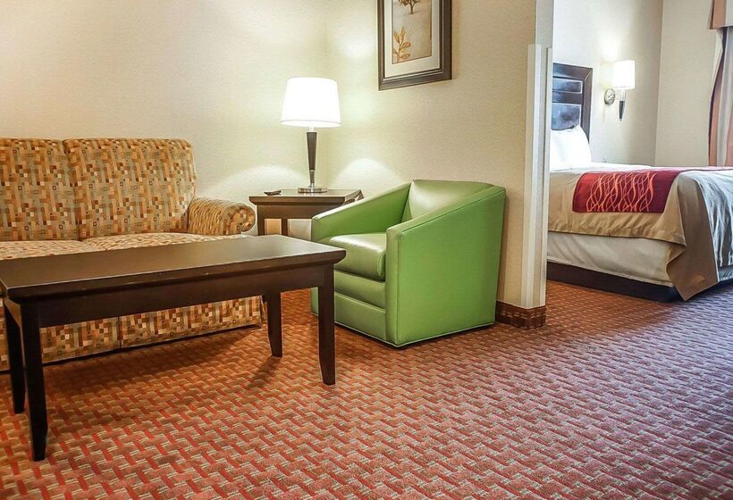 فندق Quality Inn & Suites