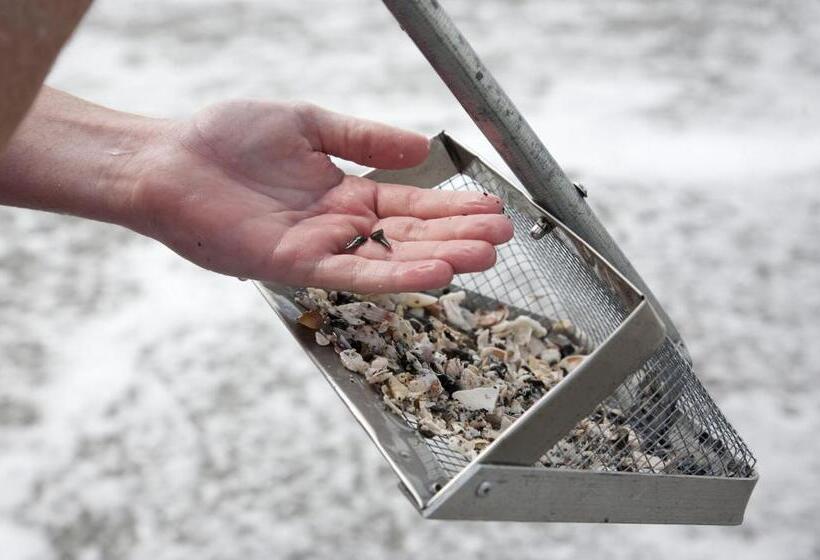 ホテル Tropical Villas Of Venice Beach