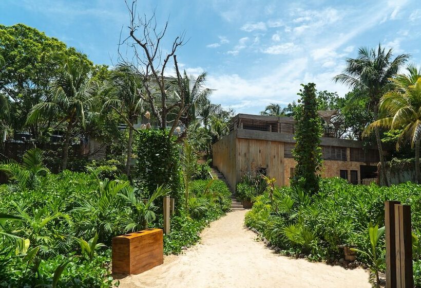 هاستل Mayan Monkey Isla Mujeres   Adults Only