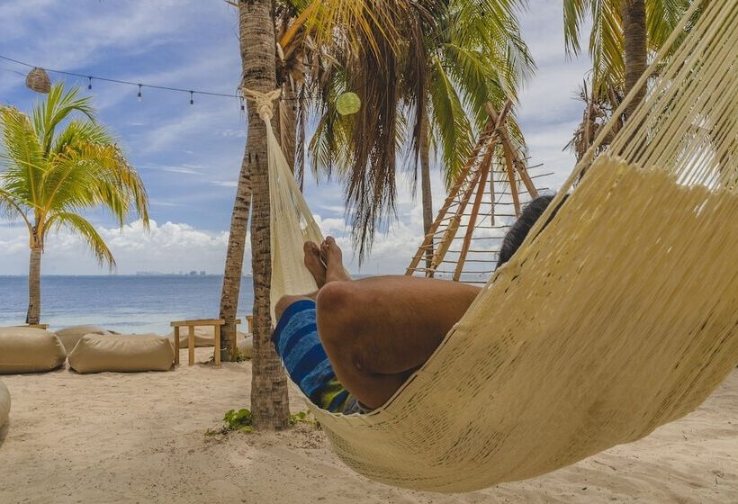 هاستل Mayan Monkey Isla Mujeres   Adults Only