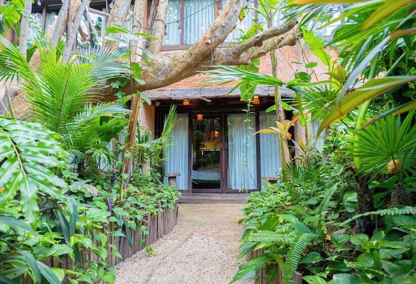 هاستل Mayan Monkey Isla Mujeres   Adults Only