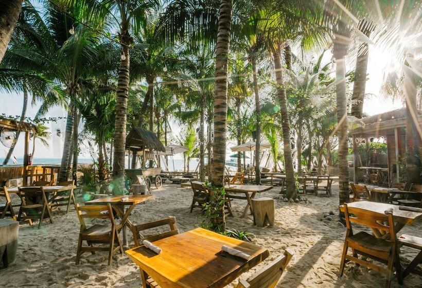 هاستل Mayan Monkey Isla Mujeres   Adults Only