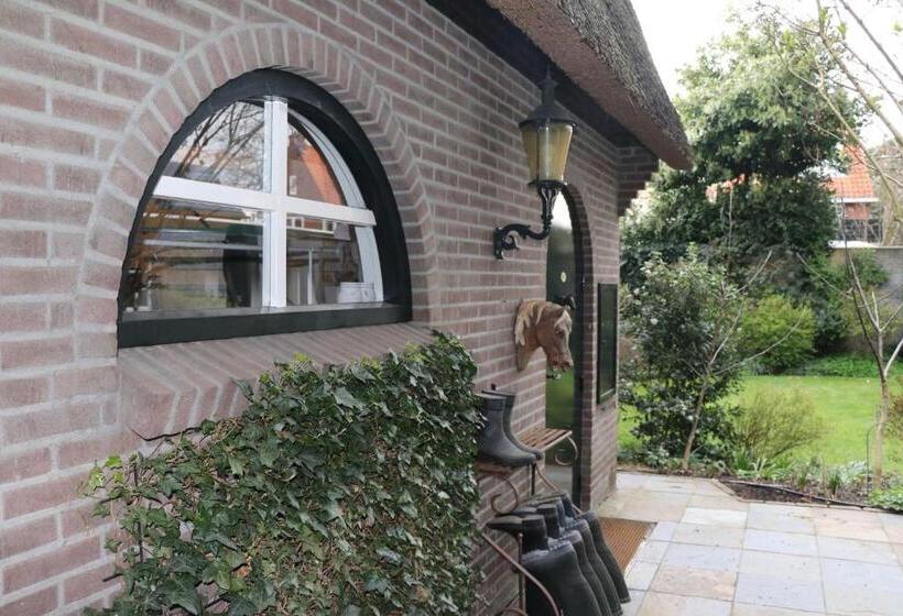 ペンション Cavalli's Cottage