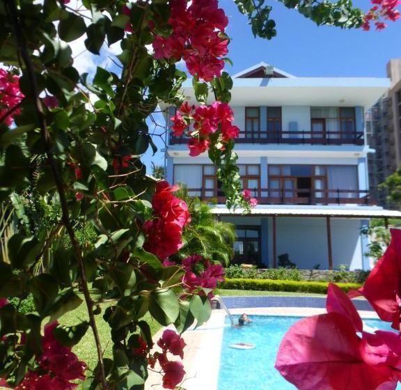 مبيت وإفطار Figtree Guesthouse