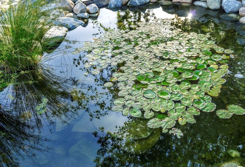 בית מלון כפרי Ayres Lodge Alpine