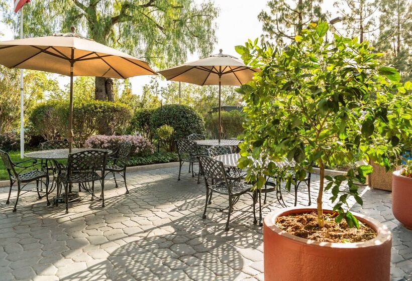 בית מלון כפרי Ayres Lodge Alpine