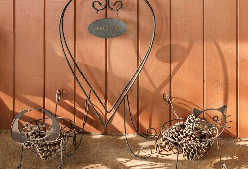 בית מלון כפרי Ayres Lodge Alpine