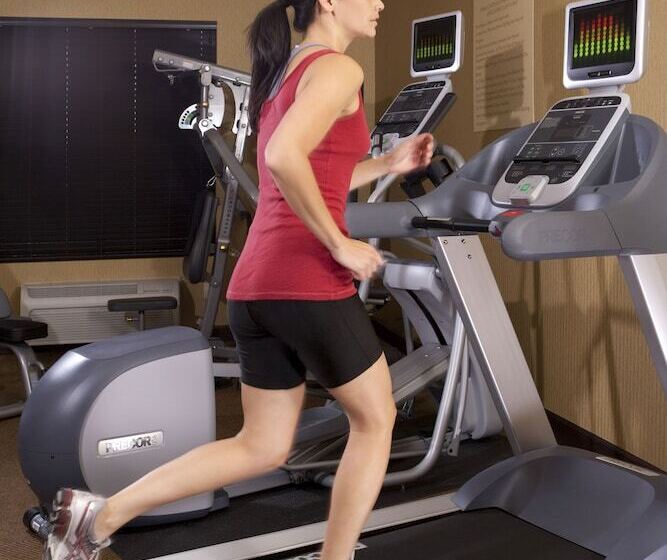 בית מלון כפרי Ayres Lodge Alpine