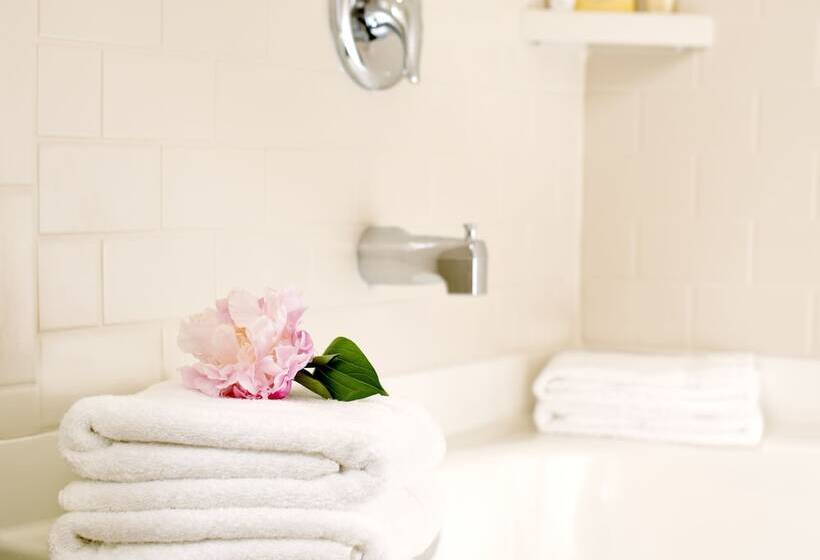 בית מלון כפרי Ayres Lodge Alpine