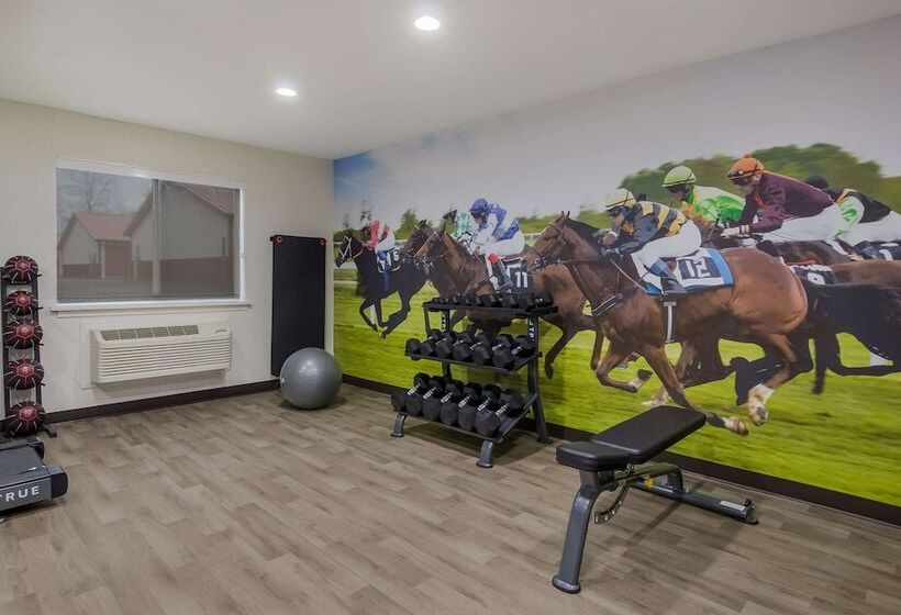 酒店 Clarion Pointe Harrodsburgdanville