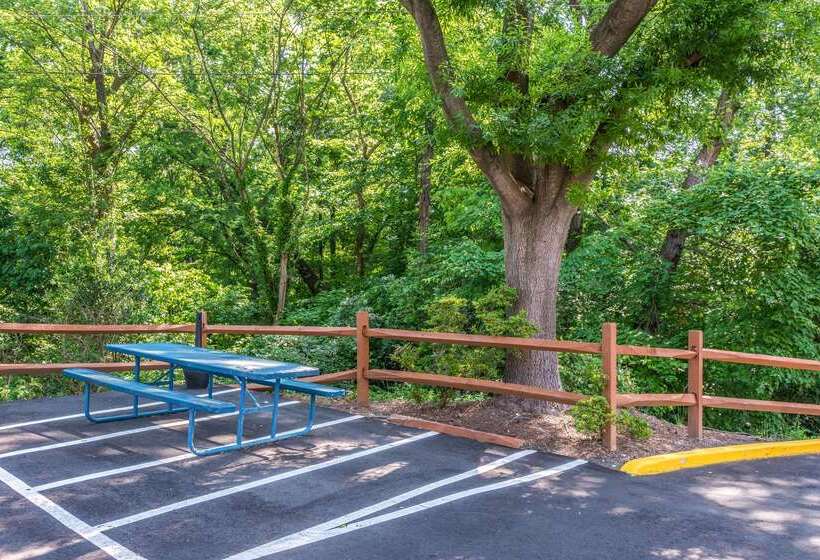 호텔 Comfort Inn Charlotte Airport Uptown