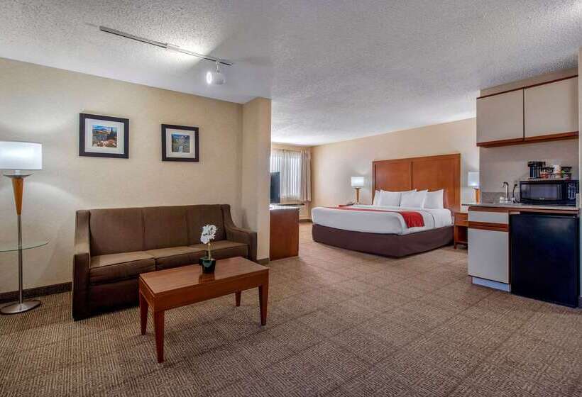 هتل Comfort Inn Denver Southeast Area