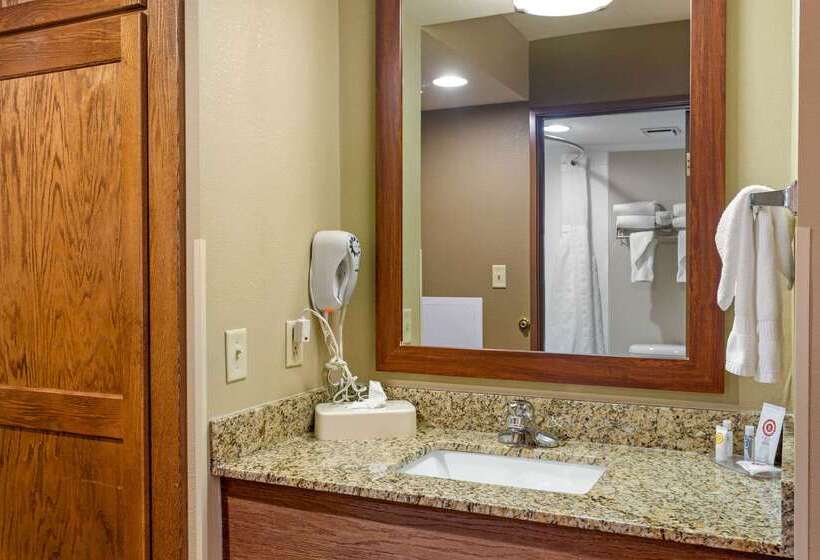 酒店 Comfort Inn Marshall Station