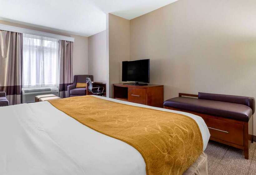 فندق Comfort Suites Boone  University Area