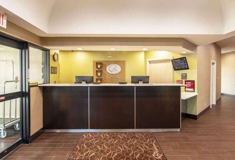 בית מלון כפרי Comfort Suites Nw Dallas Near Love Field