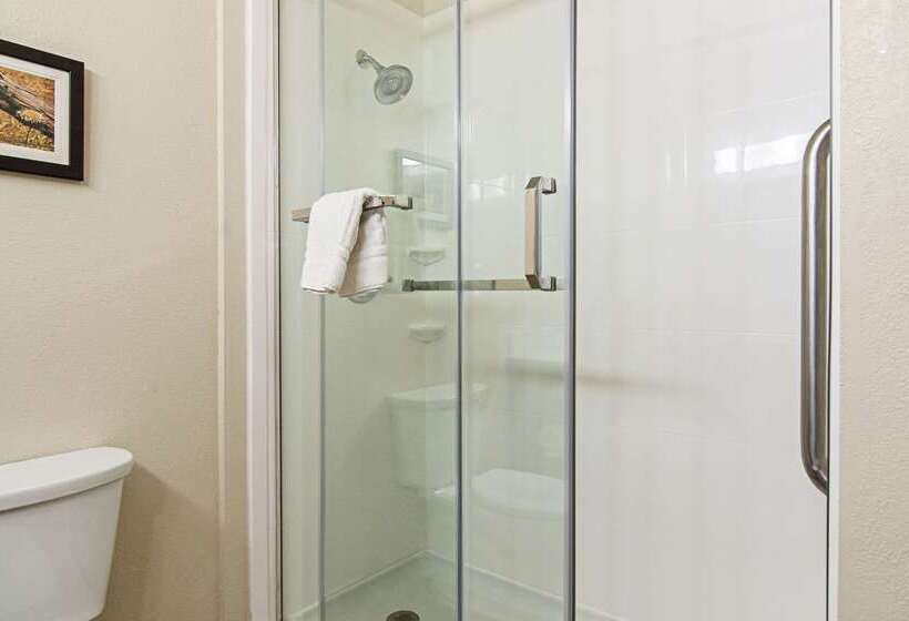 בית מלון כפרי Comfort Suites Nw Dallas Near Love Field