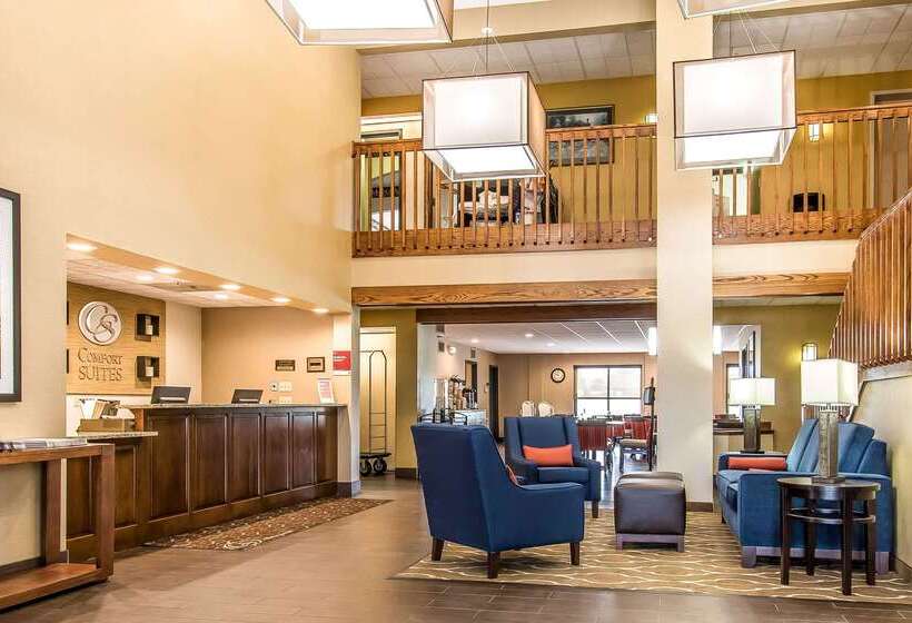 בית מלון כפרי Comfort Suites Effingham
