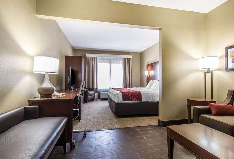 בית מלון כפרי Comfort Suites Effingham