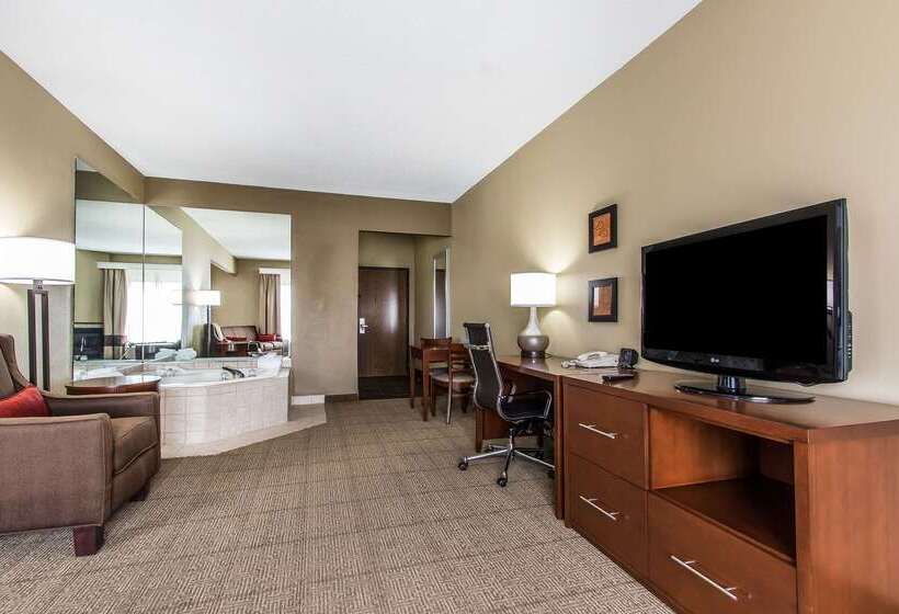 בית מלון כפרי Comfort Suites Effingham