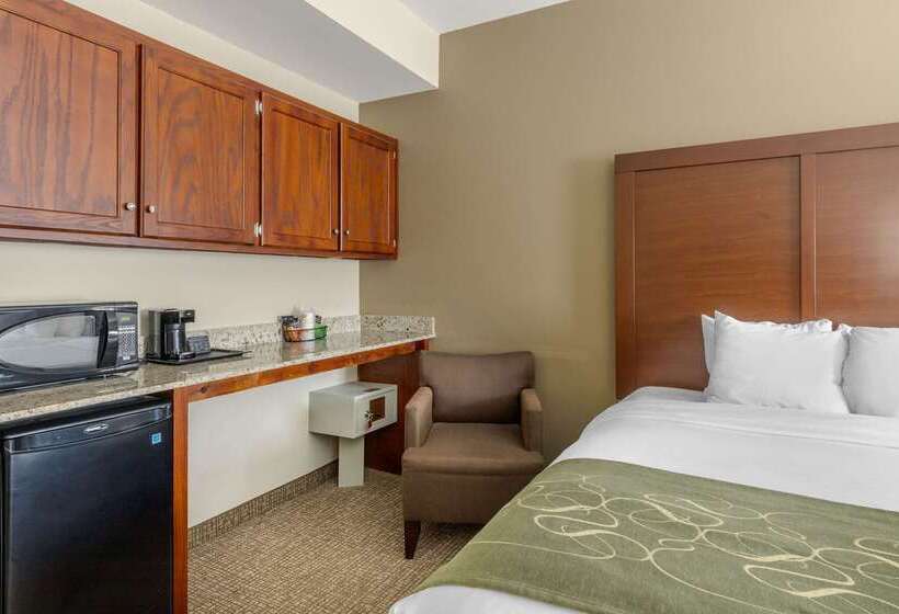 בית מלון כפרי Comfort Suites Johnson City Near University