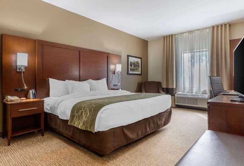 בית מלון כפרי Comfort Suites Johnson City Near University