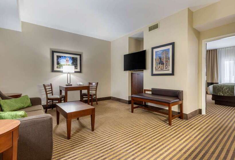 בית מלון כפרי Comfort Suites Johnson City Near University