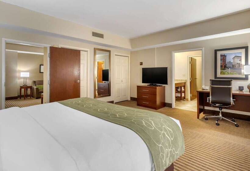 בית מלון כפרי Comfort Suites Johnson City Near University