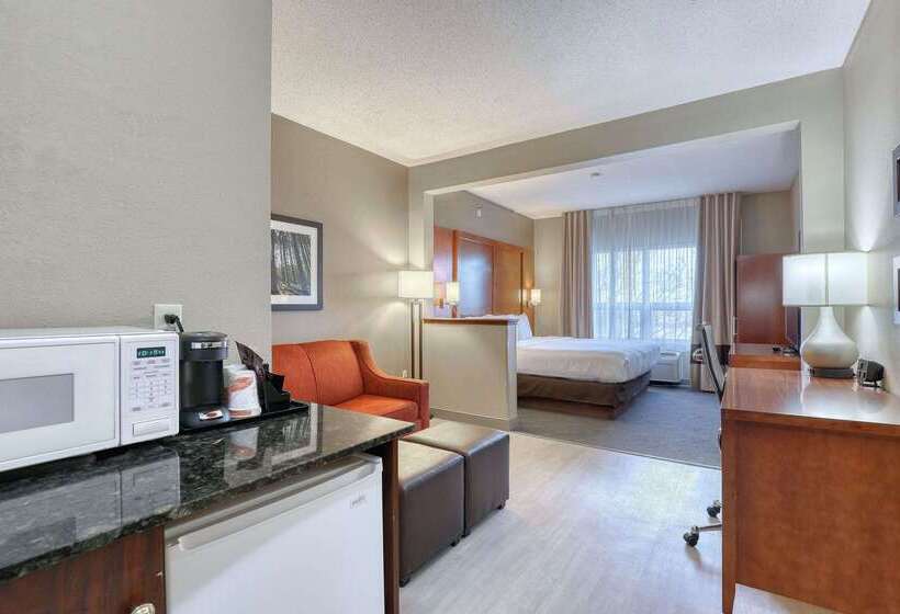 هتل Comfort Suites Madison West