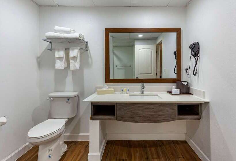 هتل Comfort Suites Near Camp Lejeune