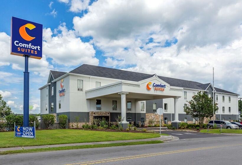 هتل Comfort Suites Near Camp Lejeune