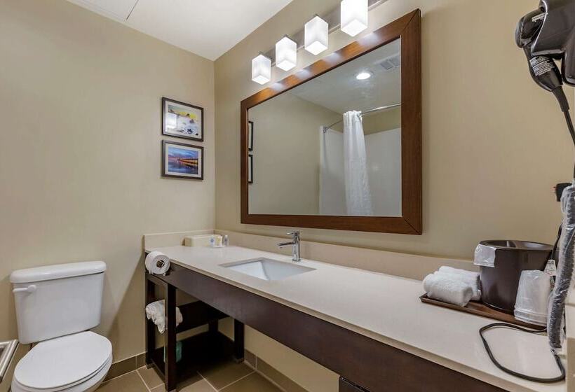 هتل Comfort Suites Near Camp Lejeune