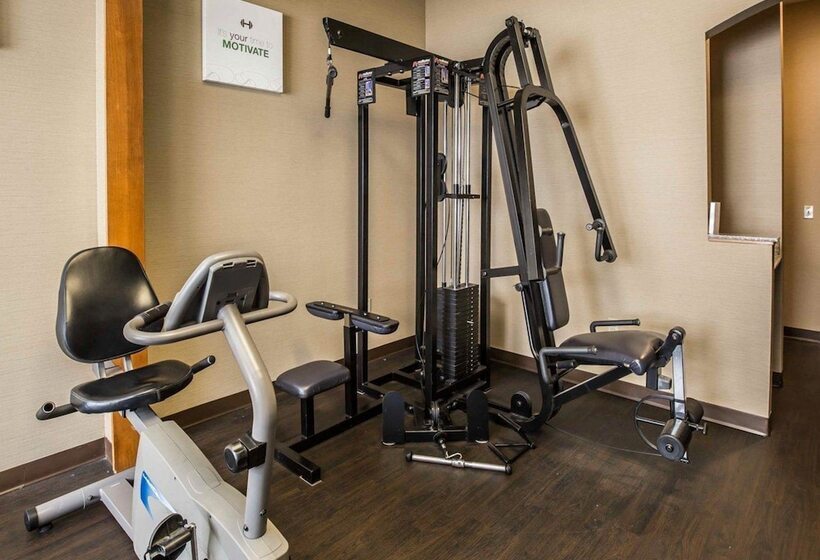 酒店 Comfort Suites Stafford Near Sugarland