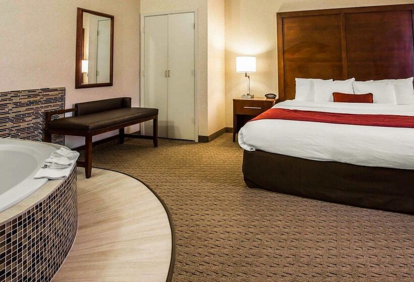 酒店 Comfort Suites Stafford Near Sugarland