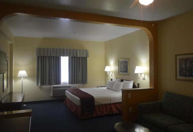 هتل Howard Johnson By Wyndham San Antonio  & Suites